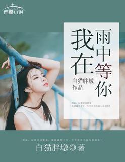 贺小姐复婚吧